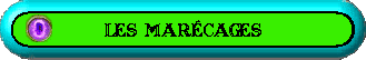 Marecages